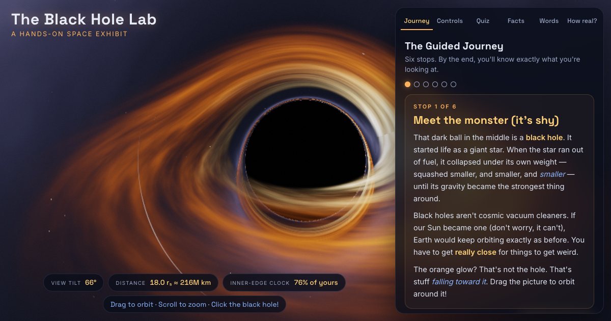 Screenshot of the Black Hole Simulation demo