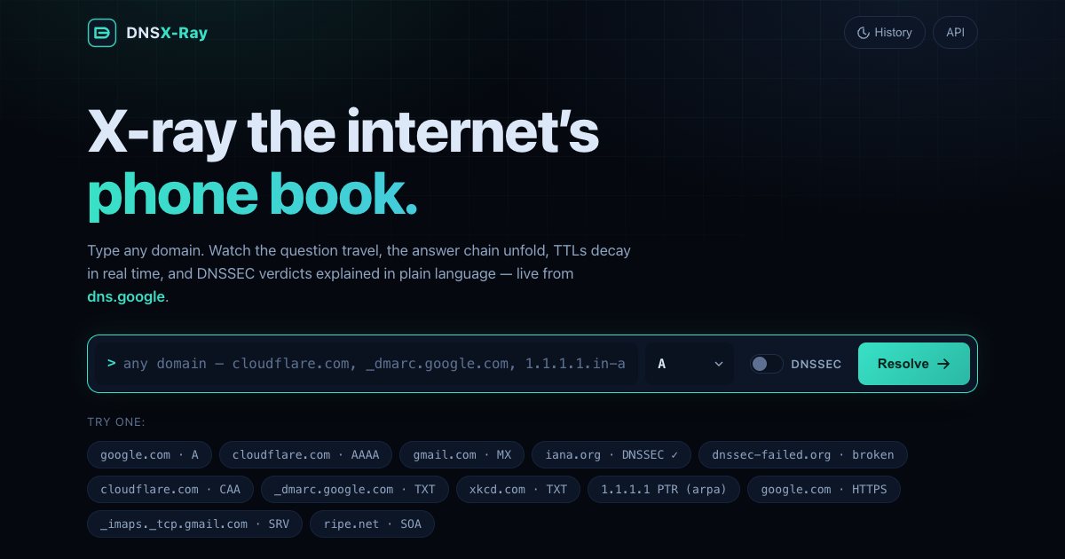 Screenshot of the Google Dns Network Inspector demo