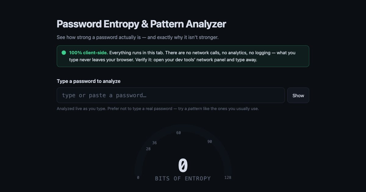 Screenshot of the Password Entropy Analyzer demo