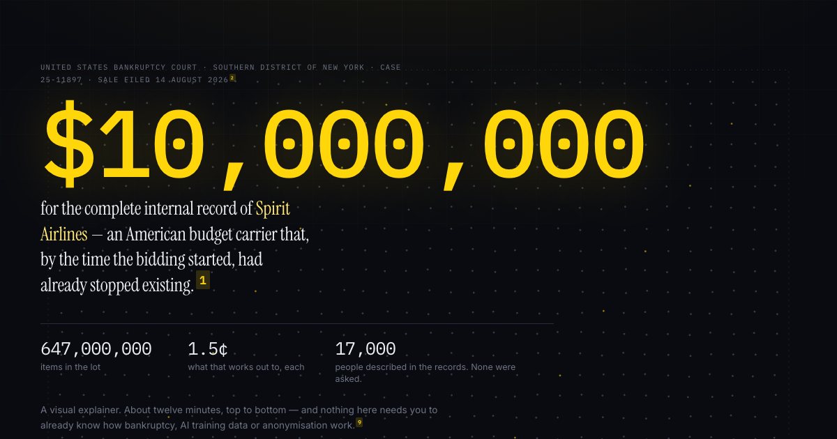 Screenshot of the Spirit Airlines Bidding demo