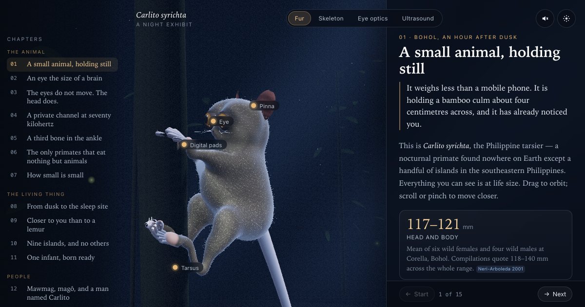 Screenshot of the Tarsier demo